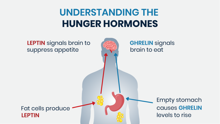 How do peptides regulate hormonal signaling pathways?
